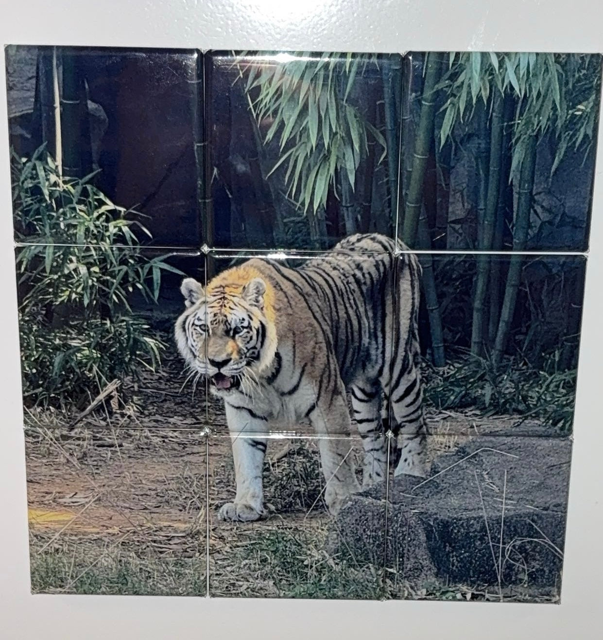 9 Piece Square Puzzle